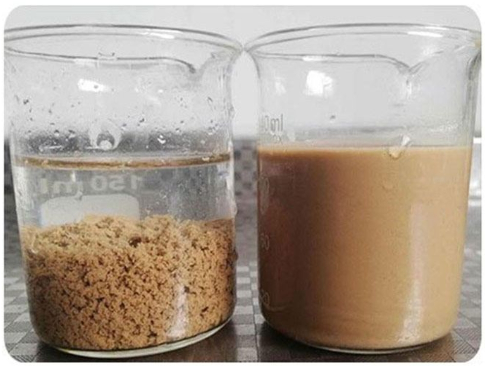 Polyacrylamide biodegradation